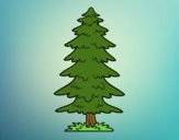 Coloring page Great fir tree painted bysamg