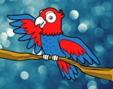 Coloring page Parrot in freedom painted bysamg
