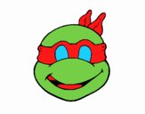 Ninja Turtles Mask