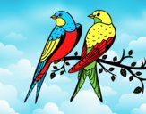 Coloring page Pair of birds painted byAnia