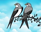 Coloring page Pair of birds painted bysamg