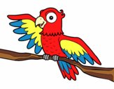 Coloring page Parrot in freedom painted byRoseLuna