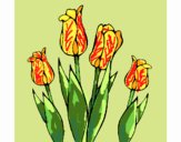 Coloring page Tulips painted byFranka