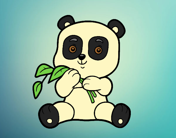 A panda