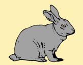 Coloring page Hare painted byAnia