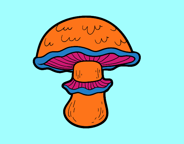 Portobello mushroom