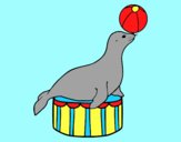 Coloring page Equilibrist seal painted byAnia
