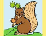 Coloring page Squirrel painted byAnia
