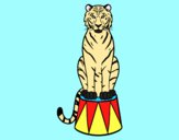Coloring page Tiger of circus painted byAnia