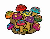 Bunashimeji mushroom