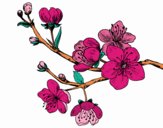 Coloring page Cherry-tree branch painted byKhaos006