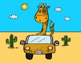 Giraffe driving