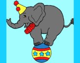 Coloring page Elephant balancing on a ball painted byAnia