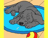 Coloring page Sleeping dog painted byAnia