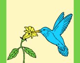 Coloring page Hummingbird and flower painted byAnia