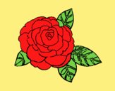 Coloring page Rose painted byAnia