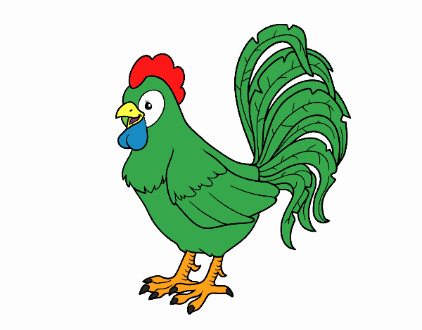 Te rooster farm