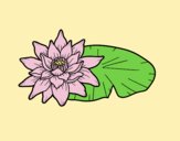 Coloring page A lotus flower painted bylorna