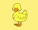 Coloring page Ducky farm painted bylorna