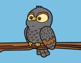 Coloring page Owl on a branch painted bylorna