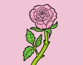 Coloring page Wild rose painted bylorna