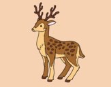 Coloring page A young deer painted bylorna