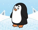Antarctic penguin