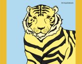 Coloring page Tiger painted bylorna