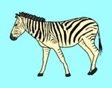 Coloring page Zebra painted bylorna