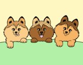 Coloring page 3 puppies painted bylorna