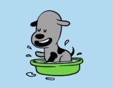 Coloring page A puppy in the bathtub painted bylorna