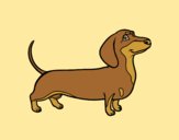 Coloring page Dachshund dog painted bylorna