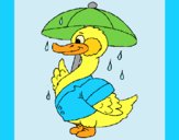 Coloring page Duck in the rain painted bylorna