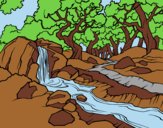 Coloring page Forest landscape with a river painted bylorna