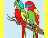 Coloring page Parrots painted bylorna