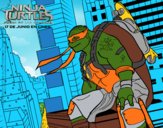 Michelangelo  Nija Turtles