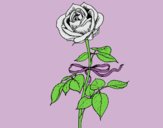 Coloring page A rose painted bylorna