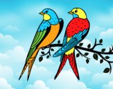 Coloring page Pair of birds painted bylorna