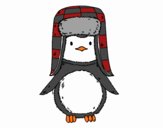 A penguin with cap