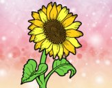 Coloring page A sunflower painted byalexadra