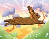 An hare