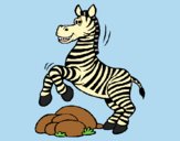Coloring page Zebra jumping over rocks painted bylorna