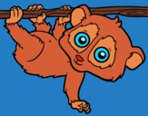 Coloring page Pygmy slow loris painted byPiaaa