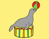 Coloring page Equilibrist seal painted bylorna