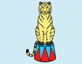 Coloring page Tiger of circus painted bylorna