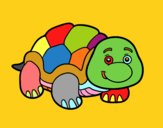 Box turtle