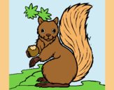 Coloring page Squirrel painted bylorna