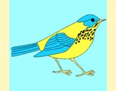 Coloring page Thrush painted byAnia