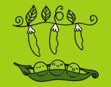 Coloring page Some peas painted byeliza32