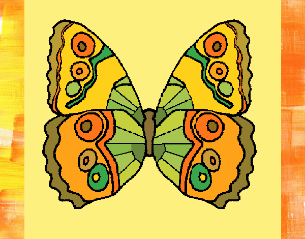 Butterfly 1a